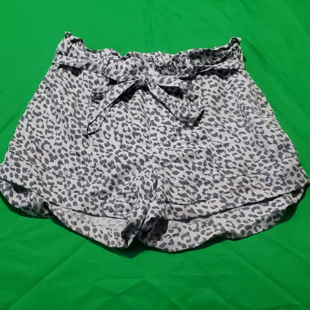 Aerie Shorts